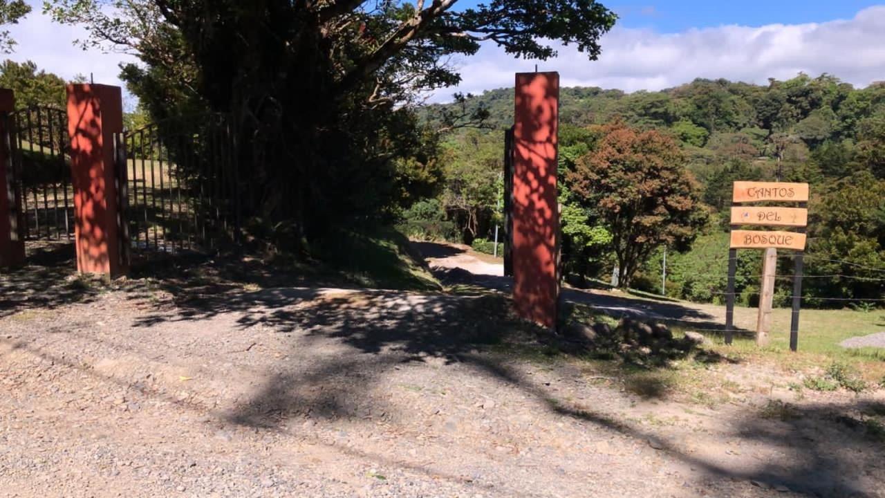 Cantos Del Bosque Monteverde Esterno foto
